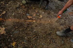 Trait de peinture orange vaporisé sur un sol de cailloux et de feuilles mortes — Hors Sol