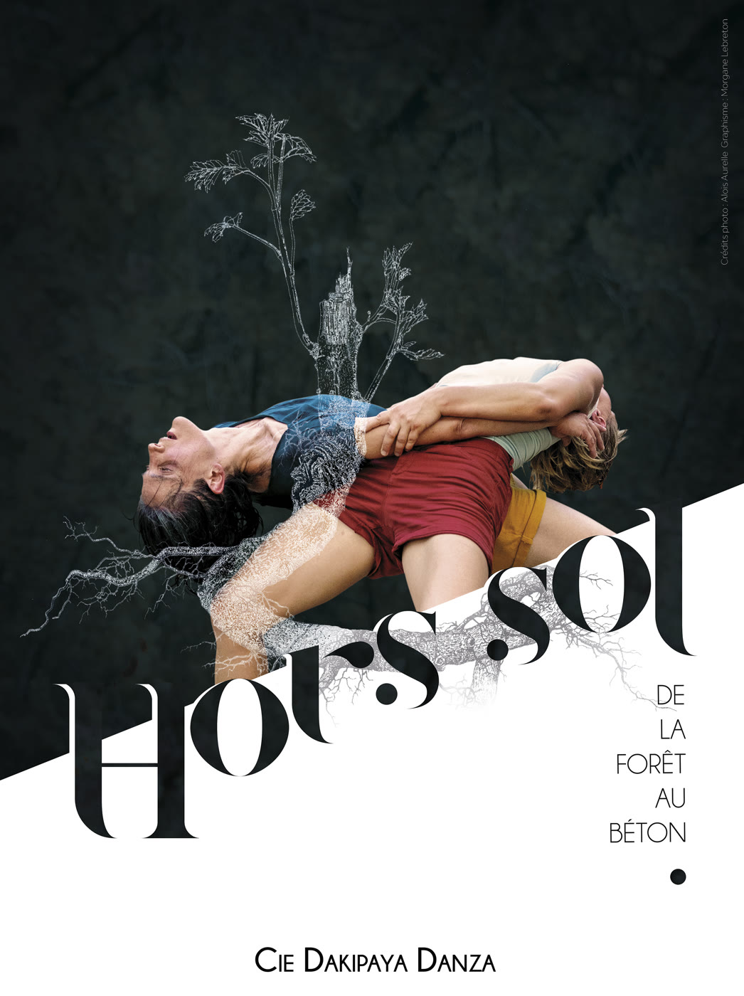 Affiche du spectacle Hors Sol